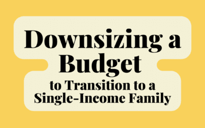Downsizing a Budget to Transition to a Single-Income Family