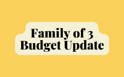 Family of 3 Budget Update